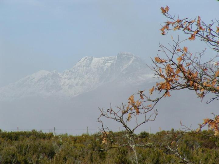 Alba de los Cardaños Casa Rural Ruralba מראה חיצוני תמונה